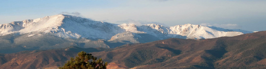 Roofing Local Colorado Springs
